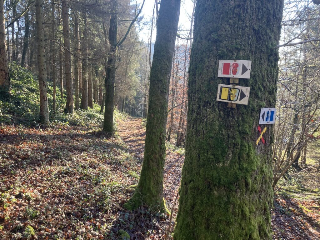 wegwijzers Trail en Famenne